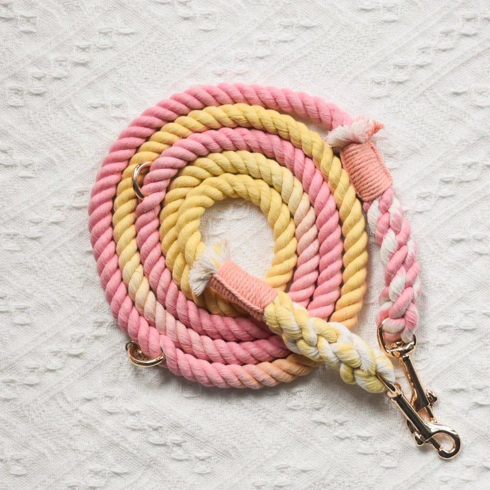 Freihände Hundeleine Oh My Marshmallow – 100% Baumwollseil
