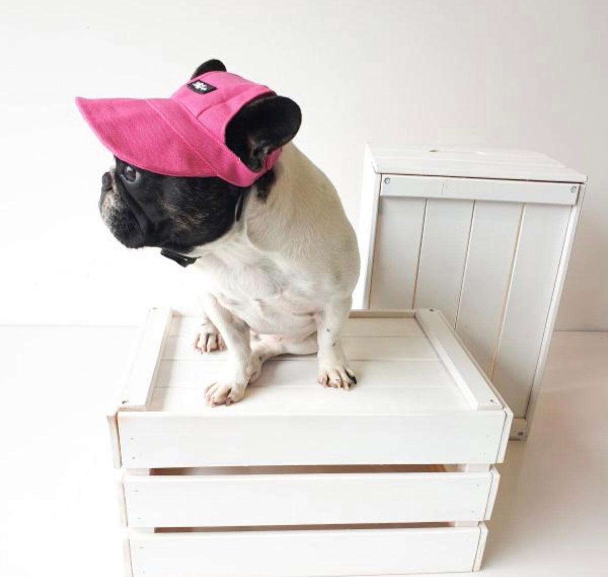 Hundekappe Pink – Sonnenschutz für Hunde