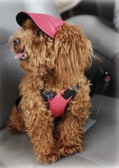 Hundekappe Pink – Sonnenschutz für Hunde