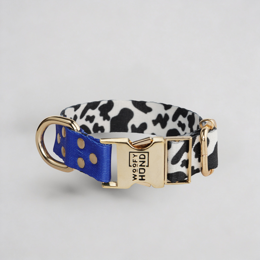 Halsband Blueberry