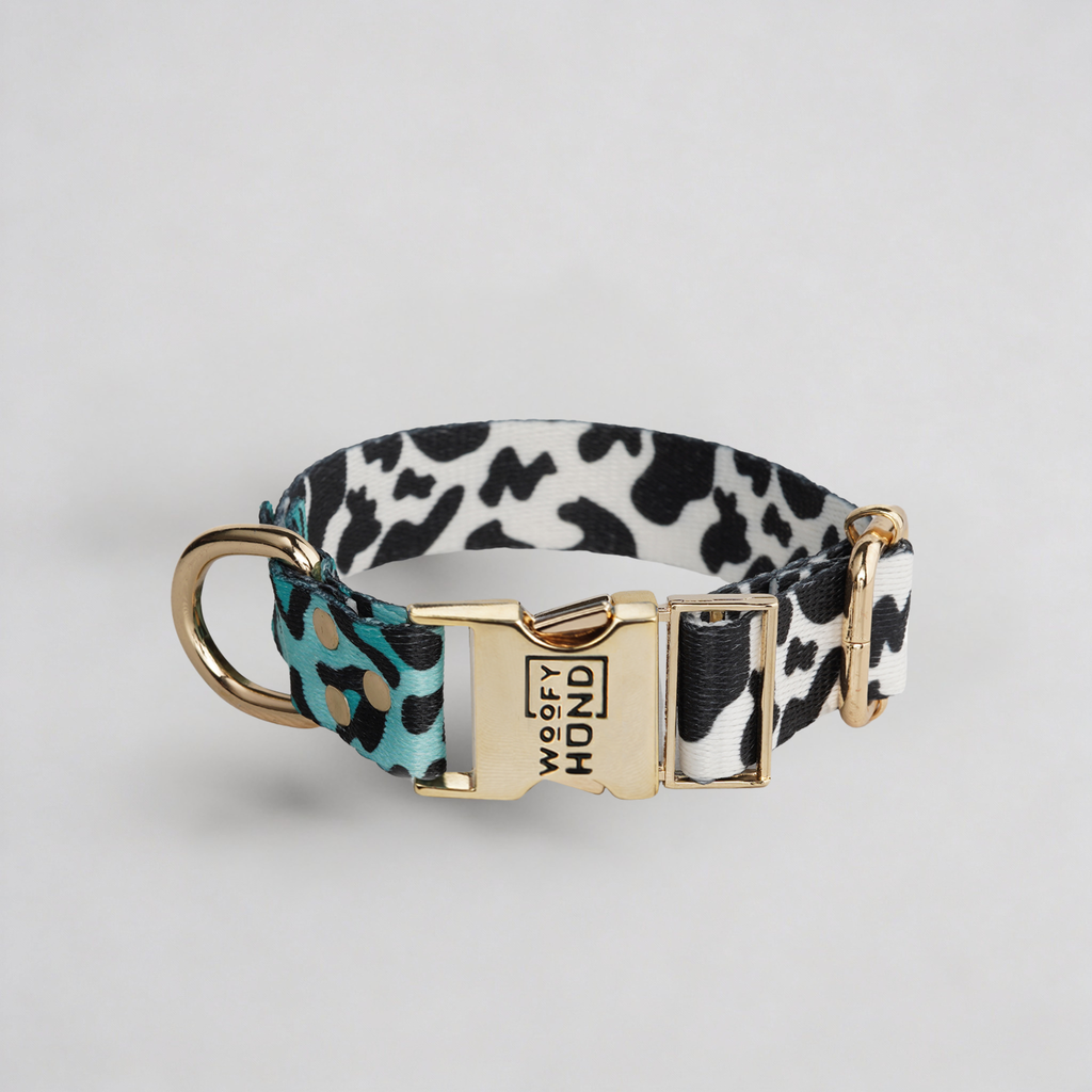 Halsband Aqua Camo – Woofy Hund
