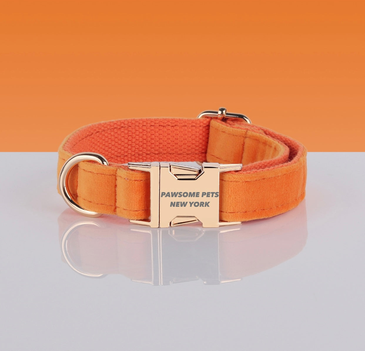 Pawsome Hundehalsband #5 – Verstellbar