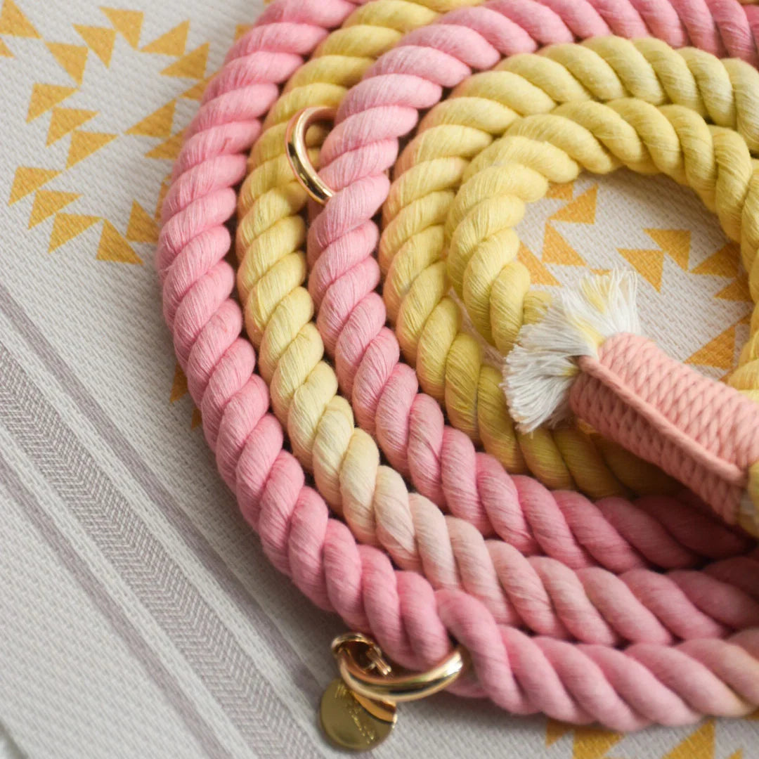 Freihände Hundeleine Oh My Marshmallow – 100% Baumwollseil
