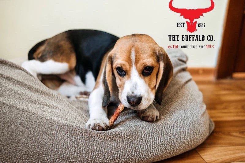 Büffel-Schwanz Hunde-Leckerli – 100% Natur Kausnack