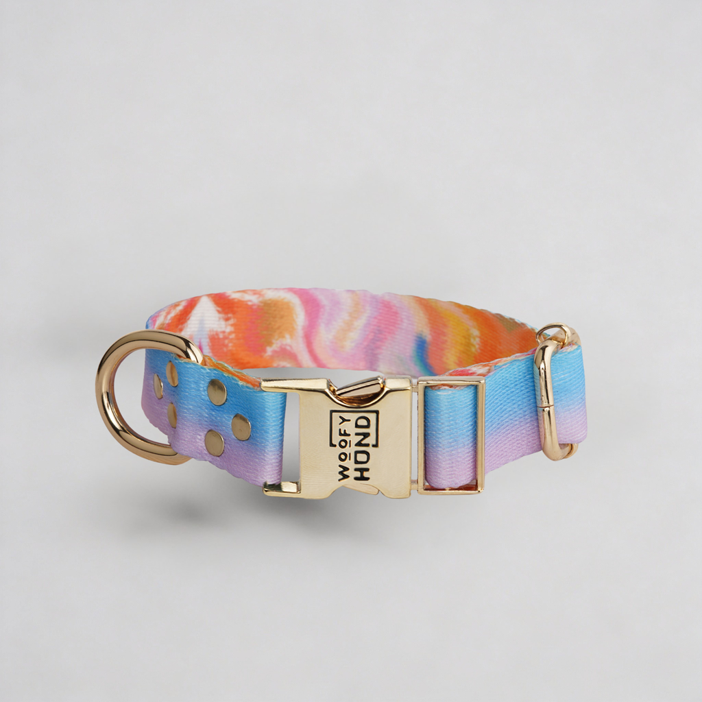 Halsband Aurora – Woofy Hund