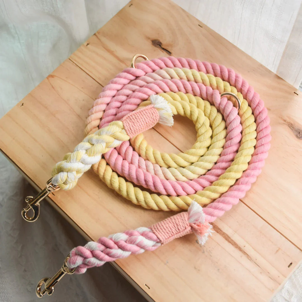Freihände Hundeleine Oh My Marshmallow – 100% Baumwollseil