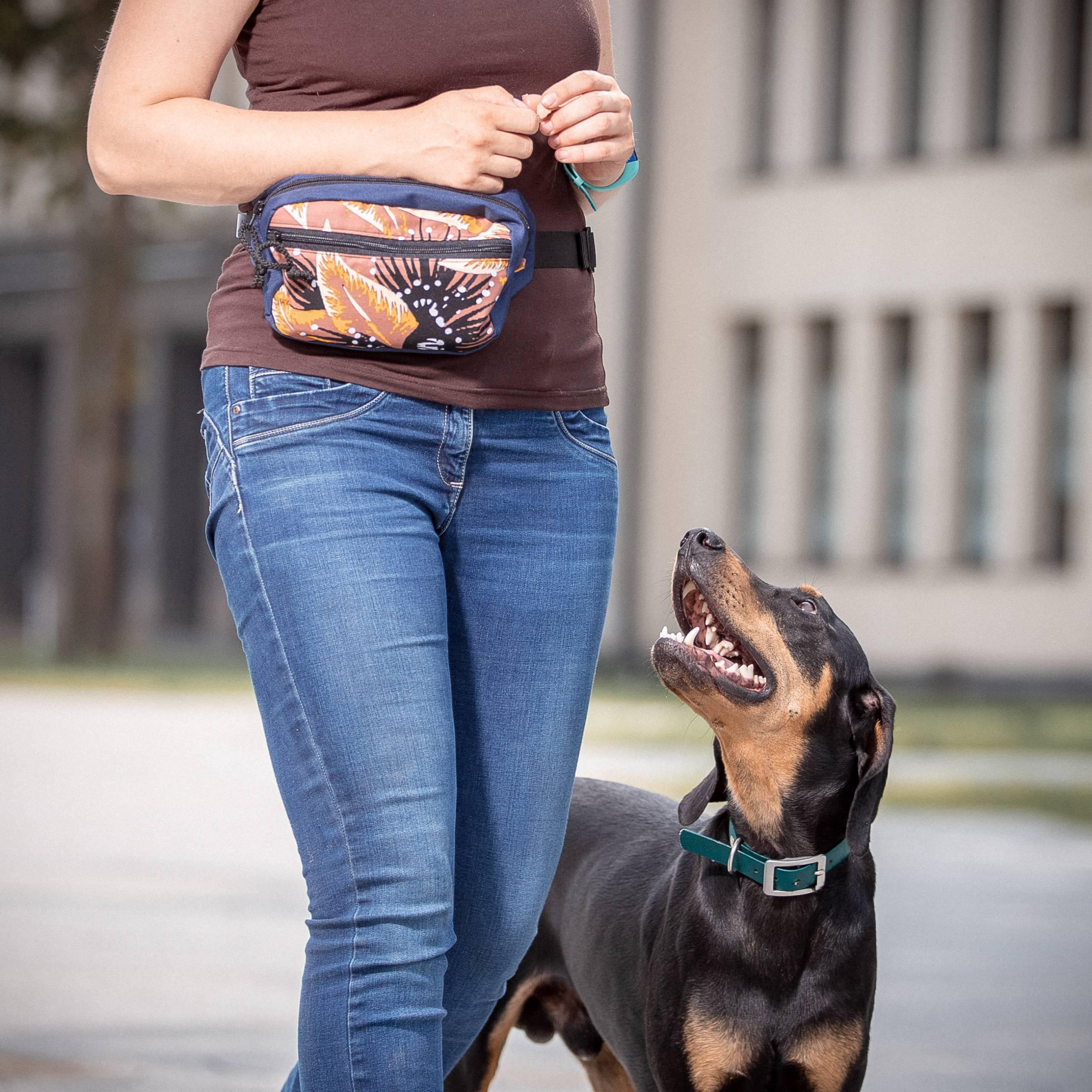 Dog treat bag CHERRY-6