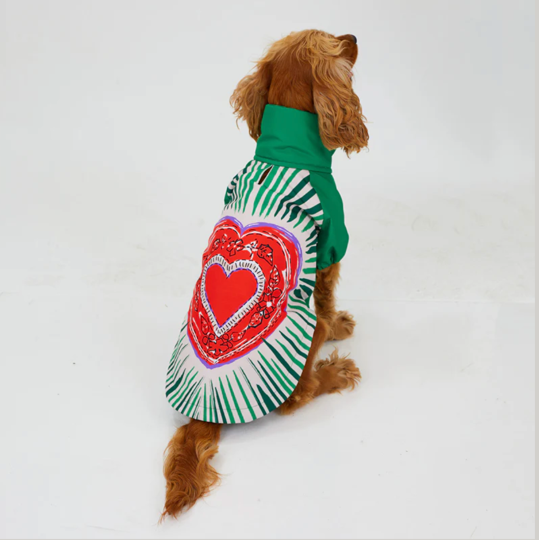 LoveShield Regenjacke für Hunde – Woofy Hund