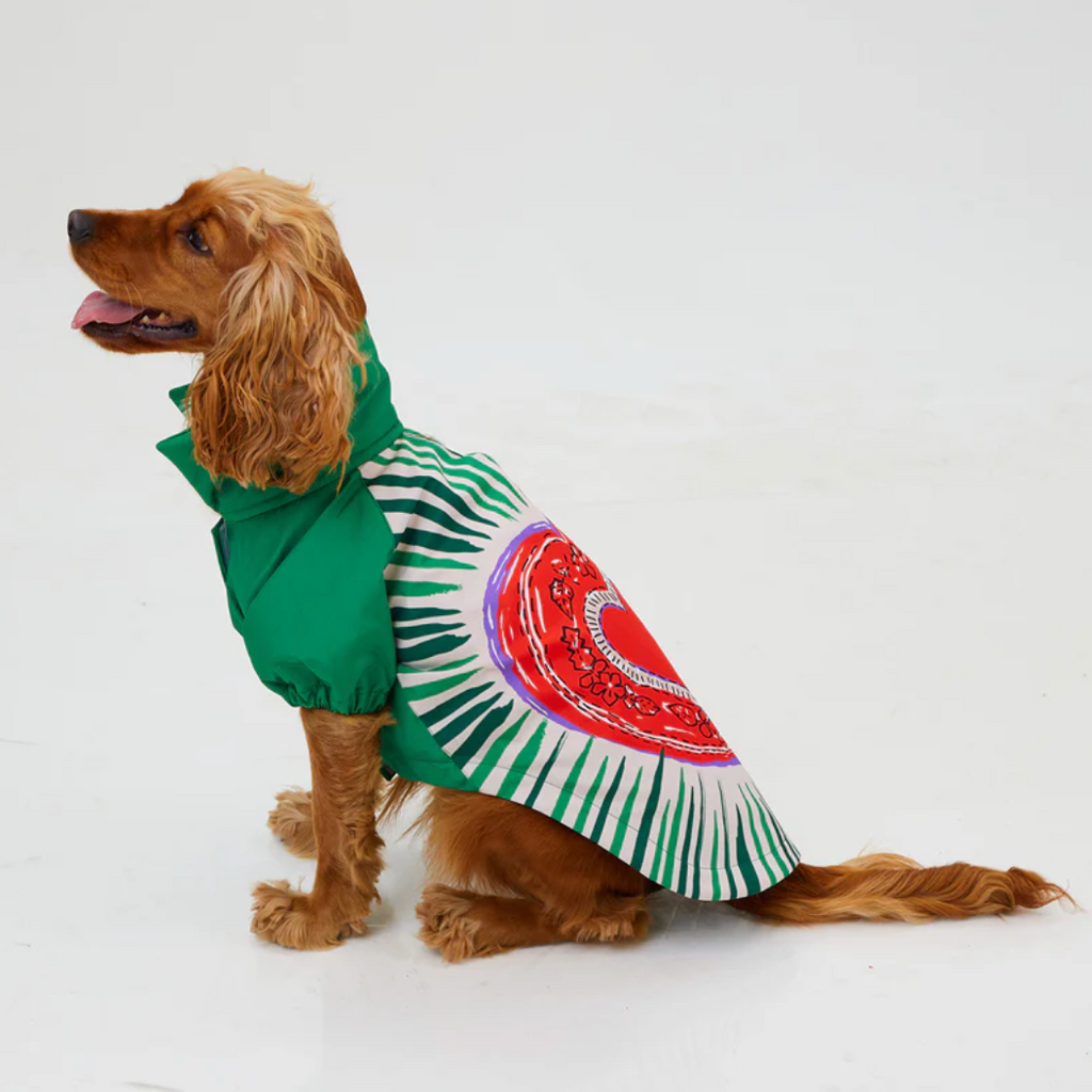 LoveShield Regenjacke für Hunde – Woofy Hund