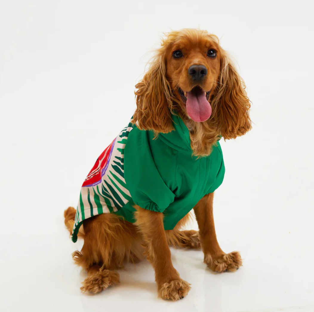 LoveShield Regenjacke für Hunde – Woofy Hund