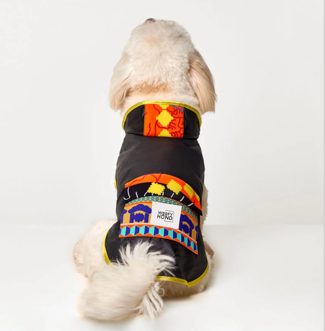 Fiesta Poncho – Regenmantel für Hunde