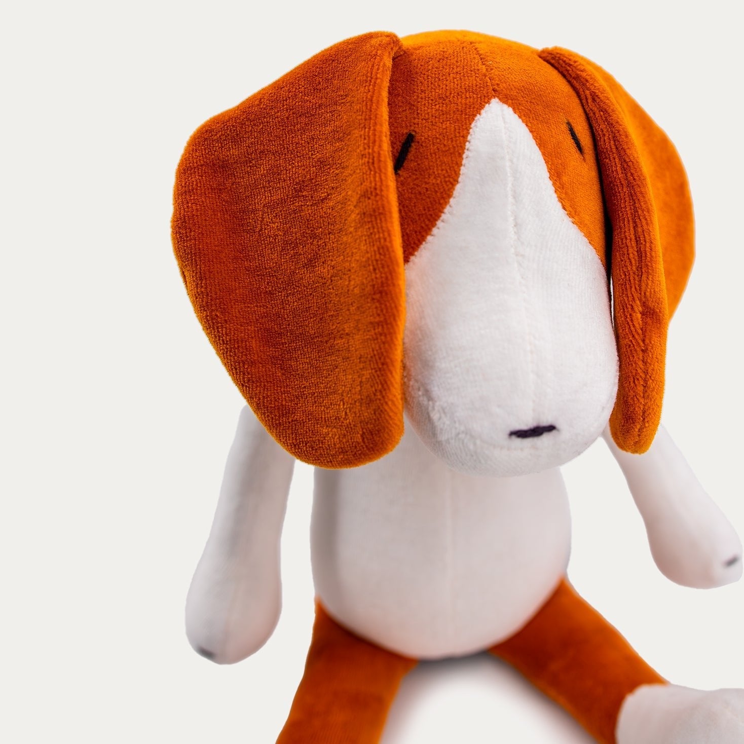BARRY LE BEAGLE - L