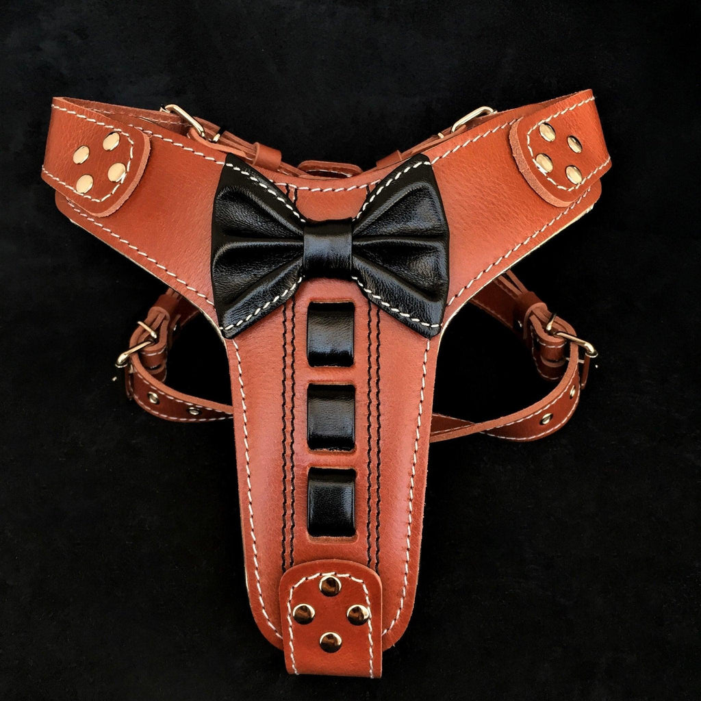 Bestia „Bowtie“ Leder-Hundegeschirr – Zweite Variante