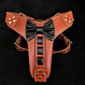 Bestia „Bowtie“ Leder-Hundegeschirr – Zweite Variante