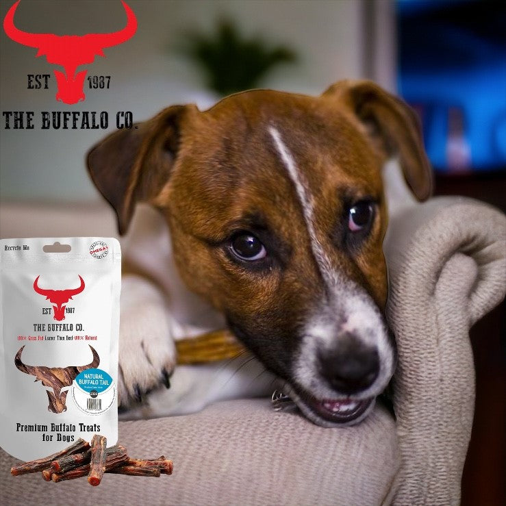 Büffel-Schwanz Hunde-Leckerli – 100% Natur Kausnack