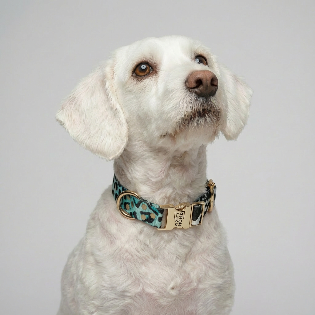 Halsband Aqua Camo – Woofy Hund
