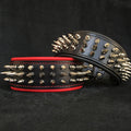 Bestia „Danger“ Hundehalsband