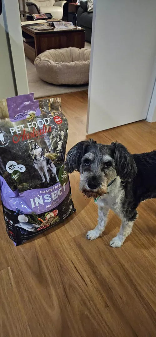 Insektenprotein Hunde-Trockenfutter mit Hanfsamenöl – Grainfrei