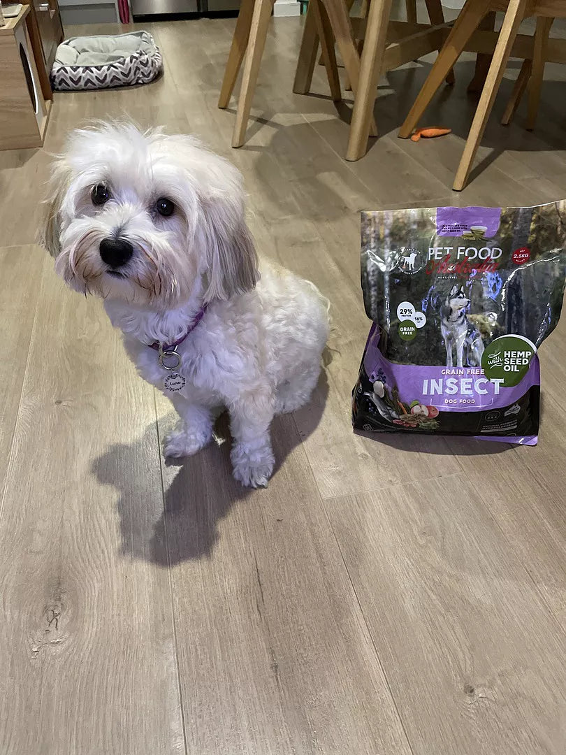 Insektenprotein Hunde-Trockenfutter mit Hanfsamenöl – Grainfrei
