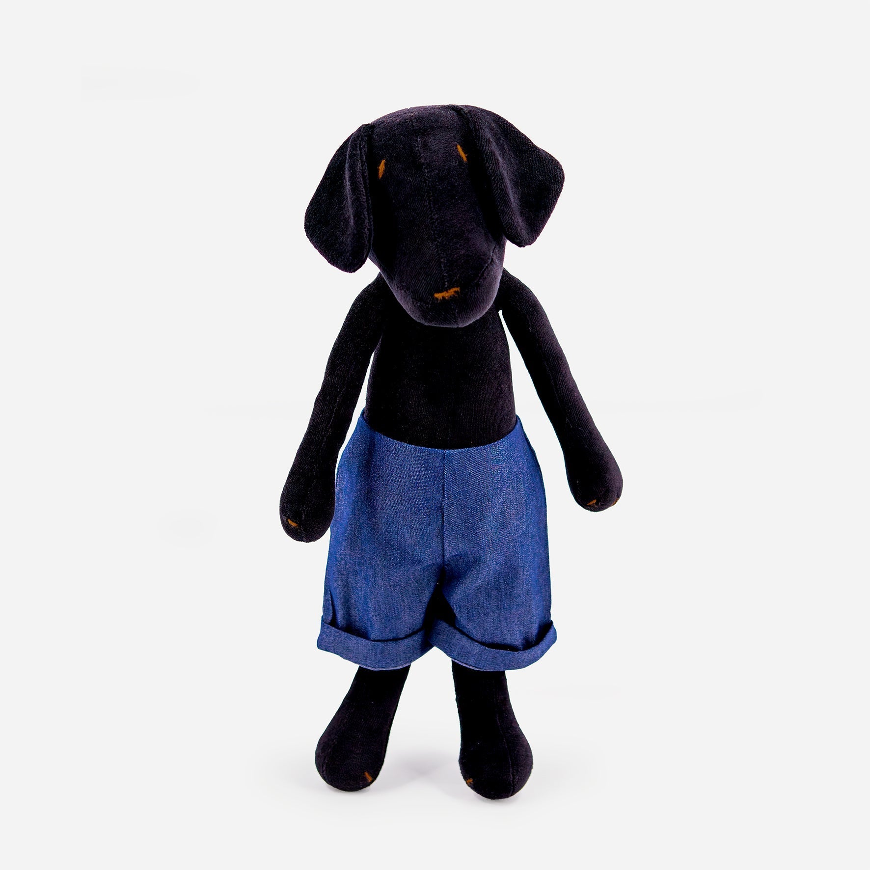 MAX LE LABRADOR - L-6