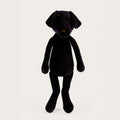 MAX LE LABRADOR - L-5