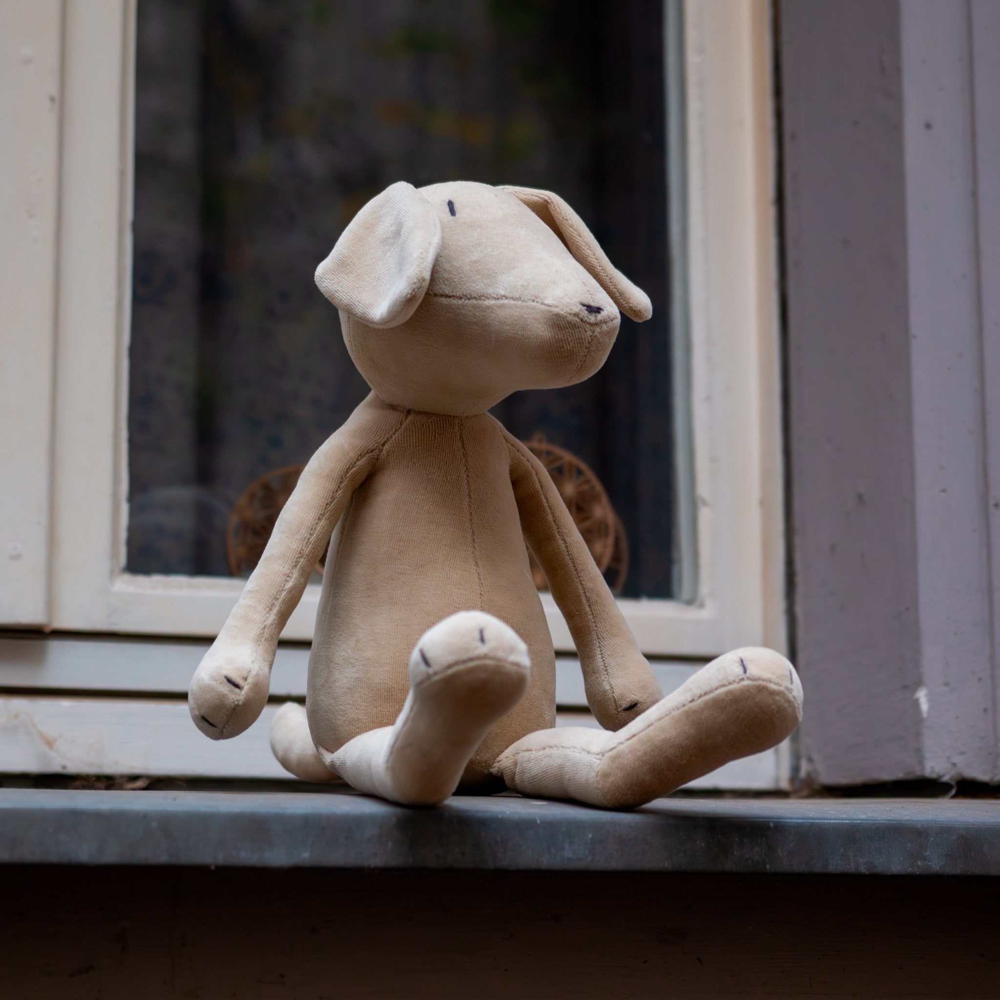MAX LE LABRADOR - L-4