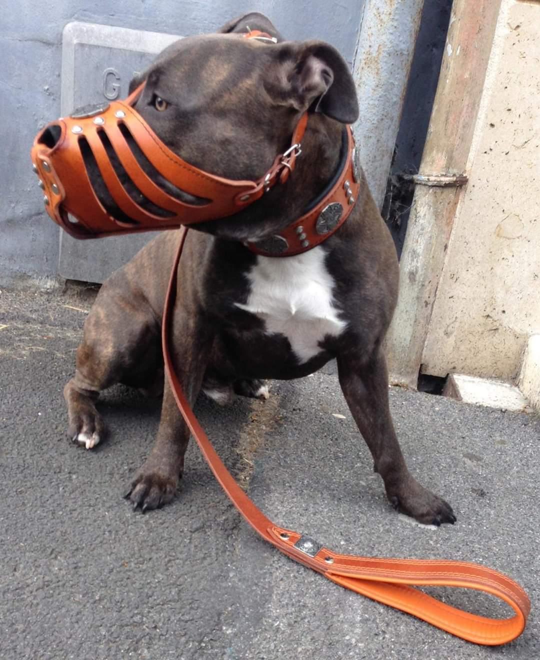 Bestia „Maximus“ Silber-Korbmaulkorb für Hunde