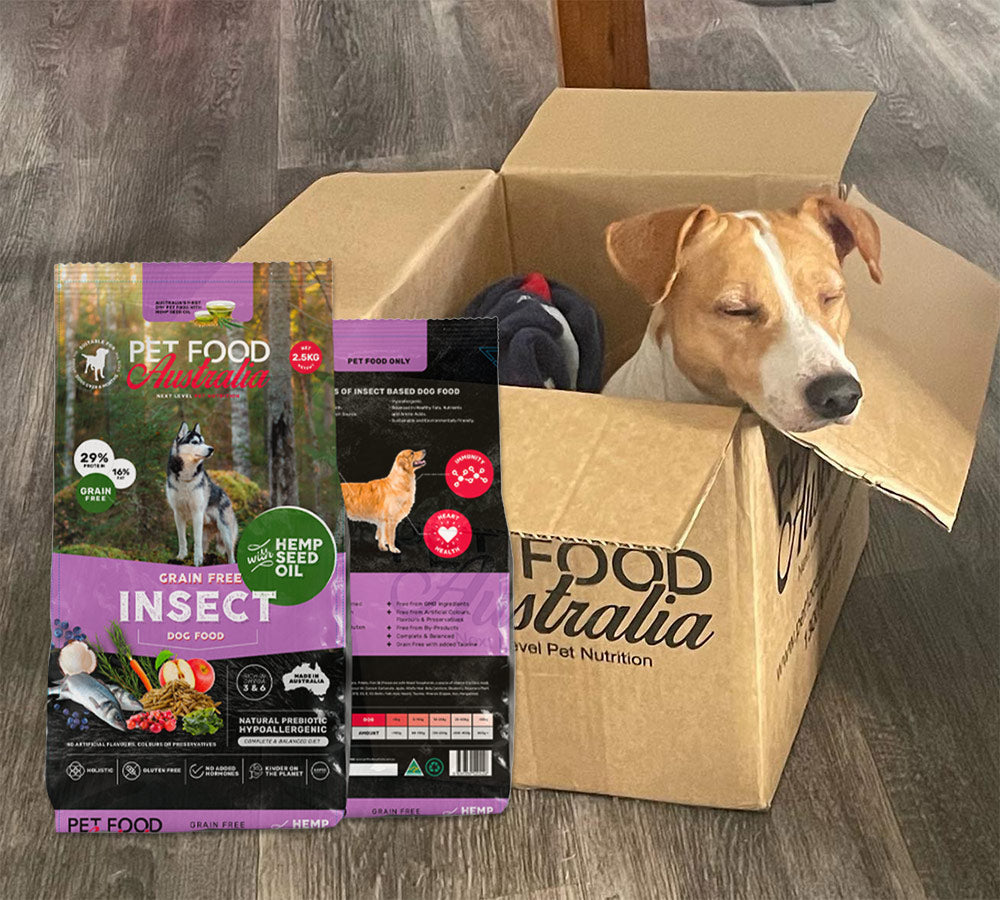 Insektenprotein Hunde-Trockenfutter mit Hanfsamenöl – Grainfrei