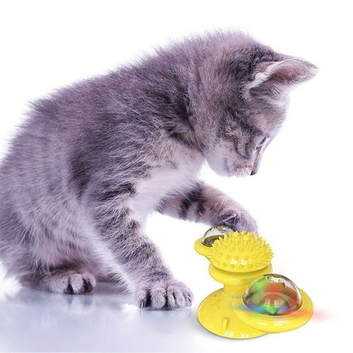 LED Spielbälle für Katzen – Leuchtendes Katzenspielzeug mit Saugnapf