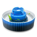 Keramik Katzenbrunnen 2,1L – Cupcake Design mit Dual-Filtration