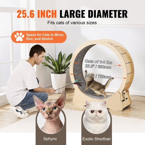Katzenlaufband – Großes Laufrad für Katzen Indoor 29,5"