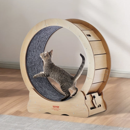 Katzenlaufband – Großes Laufrad für Katzen Indoor 29,5"